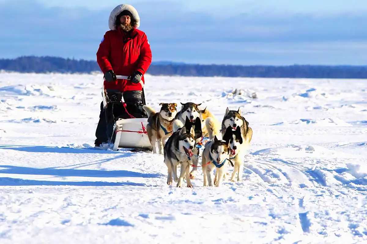 Экологичность одежды Rivernord